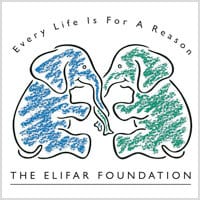 The Elifar Foundation